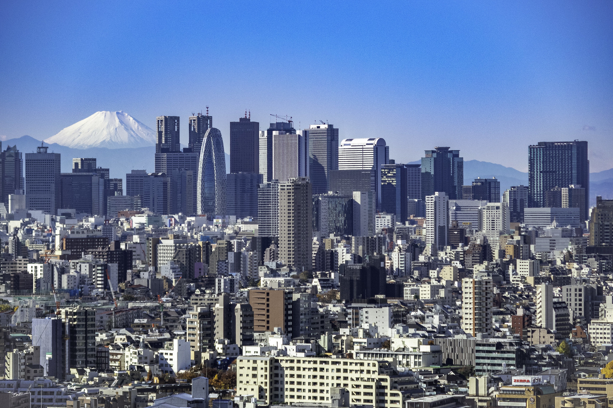 海外企業向けビジネスディベロップメント｜シンシアリー株式会社